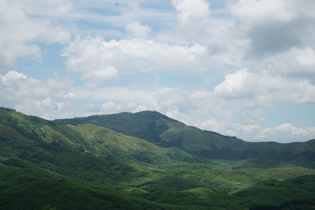 media_image1