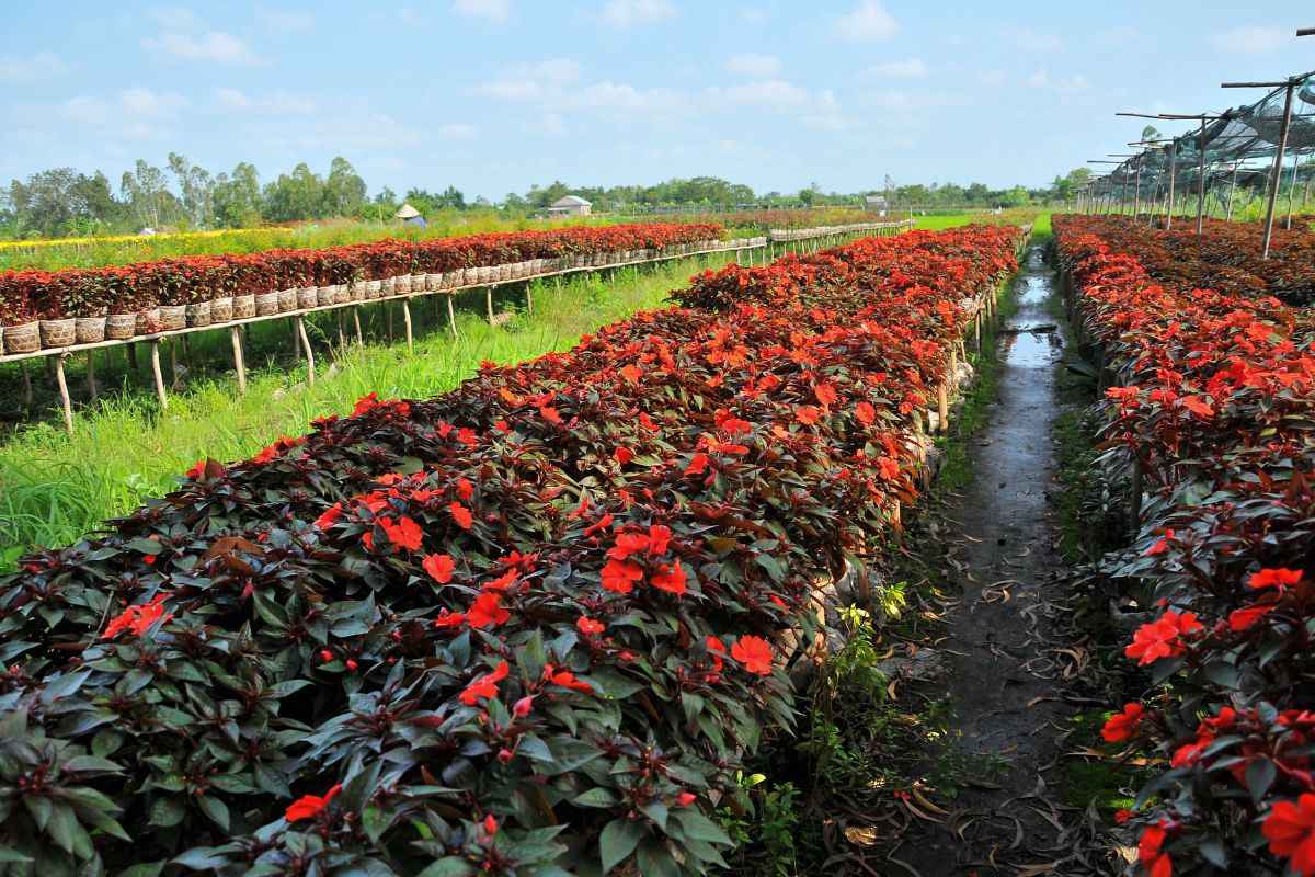 media_image5
