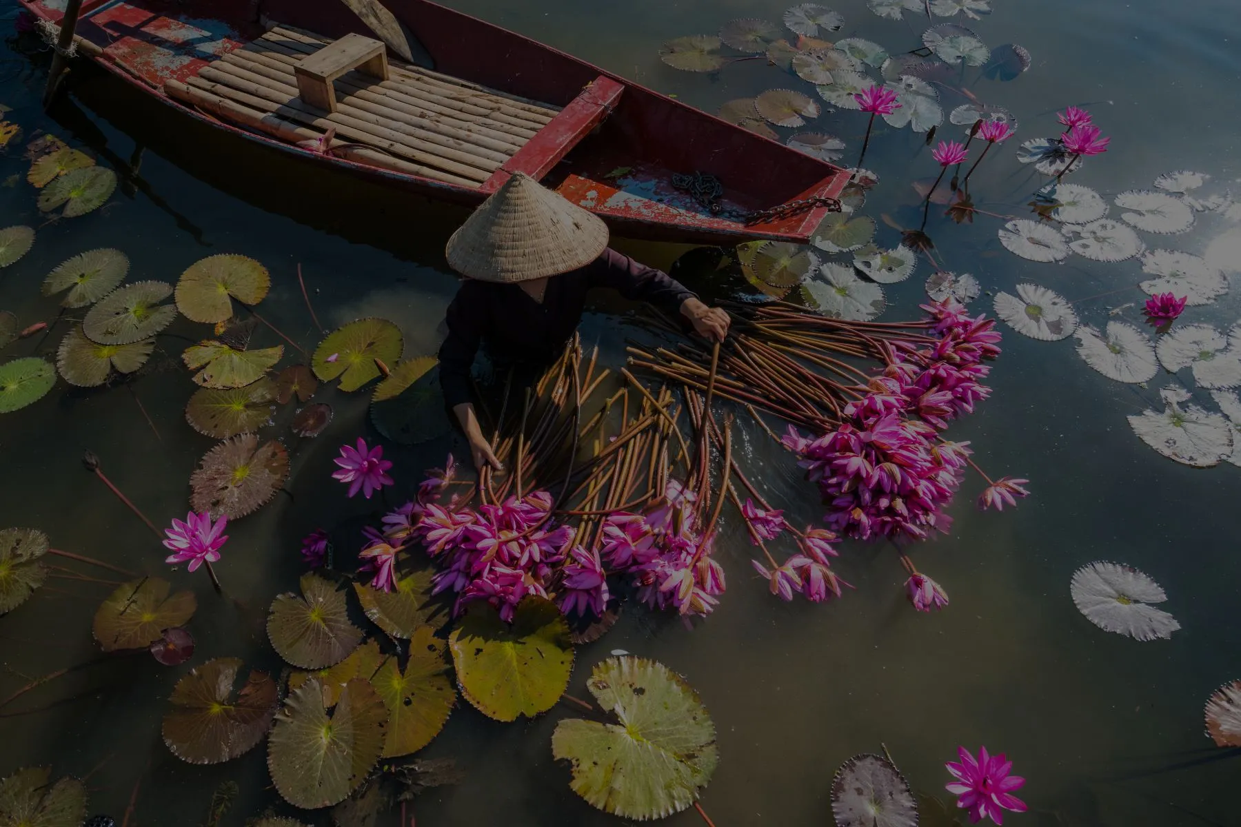TOUR KHÁM PHÁ DI SẢN HẠ LONG - NINH BÌNH 