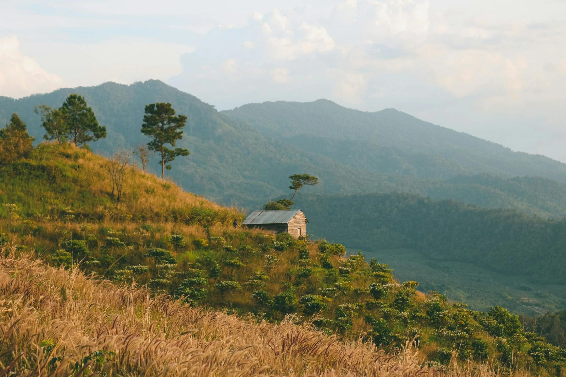 TOUR DU LỊCH KHÁM PHÁ ĐẮK LẮK - BUÔN MÊ